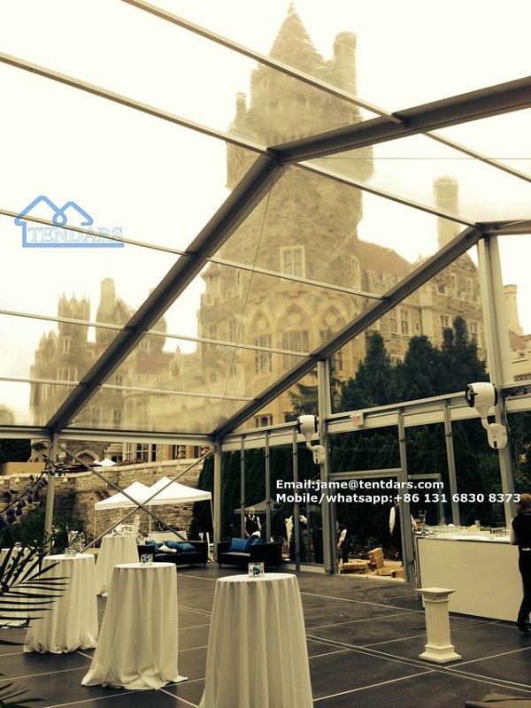 transparent canopy(001).jpg